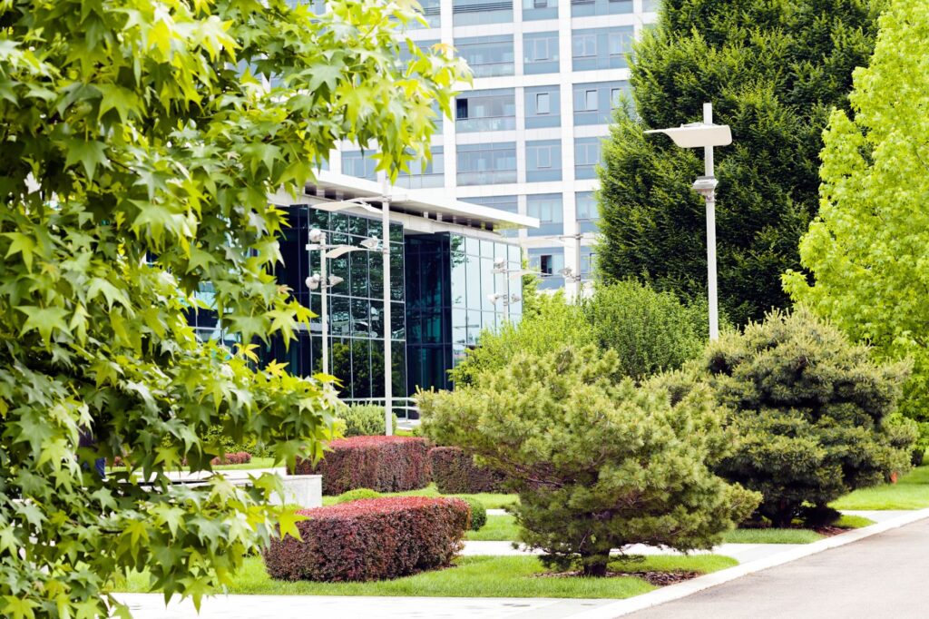 Professional Execution